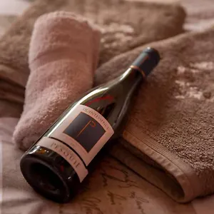 https://le-quintessence-balneo-luminotherapie-parking.hotels-rhonealpes.com